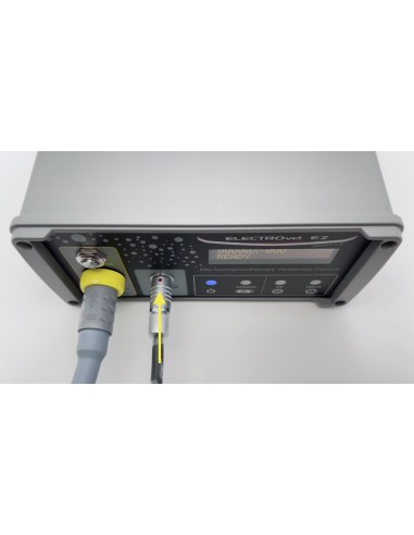 Payment for Advanced Vet Care